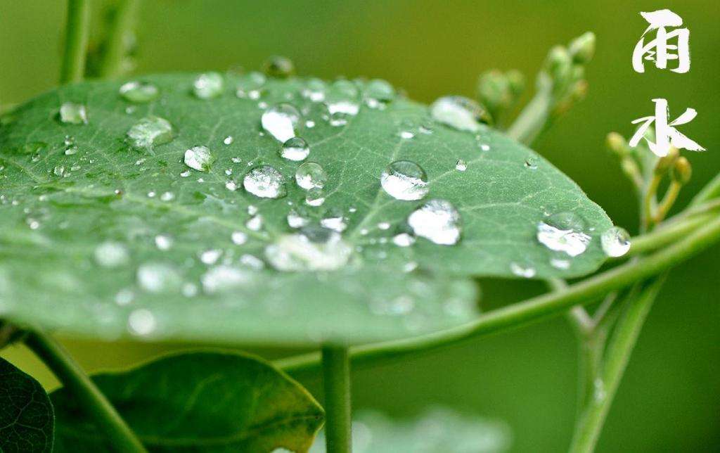 雨水潤(rùn)萬(wàn)物，兼顧沙與泥！